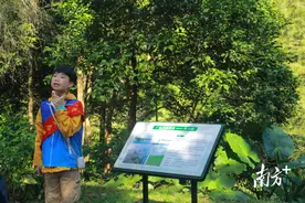生态研学实践之旅！东莞东城推动家校联动，守护美好家园图片