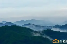 围观！又发现珍贵物种，这里宝贝也太多了吧~图片