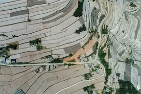 四化协同 推动毕节现代烤烟产业高质量发展图片