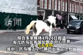 英国皇家的马出车祸了！街头失控狂跑撞上巴士图片