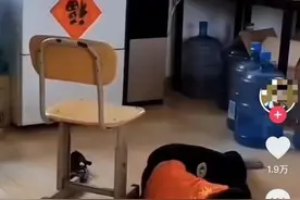 青岛男童被武术教练打死案判决详情：有两名被告人是父子关系图片