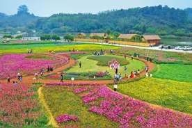 新乡村示范带“带”出村村美，14条线路等你去打卡→图片