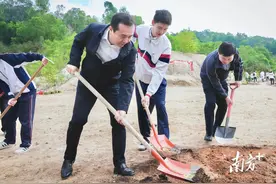 这个春天，珠海“绿”动全城图片