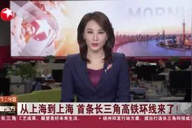 从上海到上海 首条长三角高铁环线来了！沿途停靠上海站、南京南站、合肥南站、杭州东站等21个车站视频封面