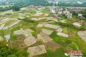 即将实施！广西宅基地城郊每户不得超过100平方米图片