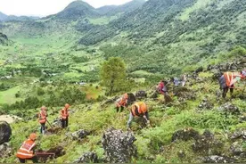 云南：创新激活林草体制机制 夯实绿色发展基底图片