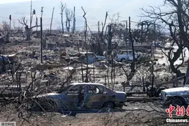 美国毛伊岛大火爆发周年伤痕仍在 居民流离失所图片