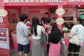 湛江非遗技艺亮相广东非遗周图片