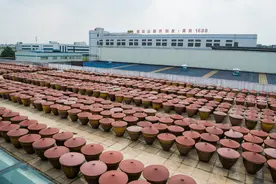 老字号助力四川土特产“好货出深山”图片