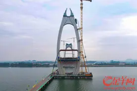 金羊网评：凤凰展翅“粤”尽岭南“好风景”图片