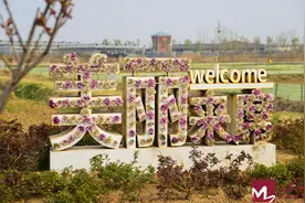 追繁花 | 追寻醉美油菜花海，想你的风吹到了吴家堡图片