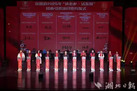 楚商回乡建支点 浪漫宣恩过大年图片