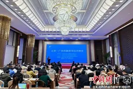 广西在京举办园区招商——投融资项目对接会图片