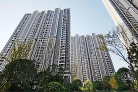 谁家物业最靠谱？蔡甸这份榜单揭晓图片
