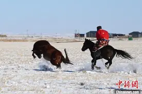 内蒙古锡林郭勒：冬日雪原上的驯马比赛图片