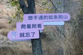 狠狠治愈！春天就要来北京爬这些山图片