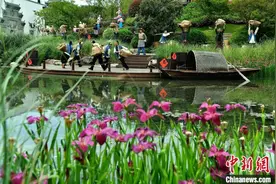 “一城看遍千年福建”——“闽派文化”集中亮相福建南平图片