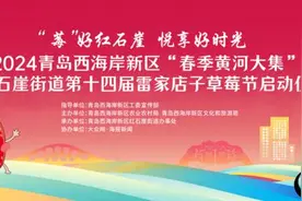 “莓”好正在发生！红石崖街道第十四届雷家店子草莓节即将启幕！图片