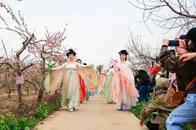安阳内黄：桃花美景引客来 乡村振兴添活力图片