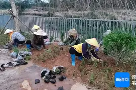 儋州市东成镇迈格红色项目预计本月竣工图片