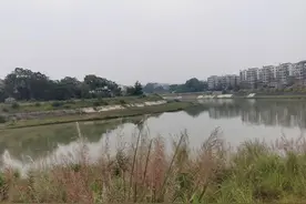 女乘客高速路下车后被发现溺亡，家属起诉出租车司机及公司索赔百万，司机回应了图片