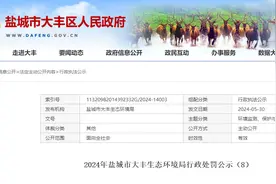 违反排污许可管理条例，江苏海兴化工有限公司被罚41.5万图片