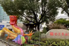 与“花灯爷爷”同赏灯会 水上铁花震撼登场 元宵佳节“浙”样玩图片
