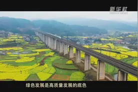微视频｜基础之策视频封面