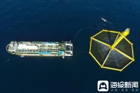 山东海洋牧场崛起 开创全球温暖海域养殖三文鱼先河图片