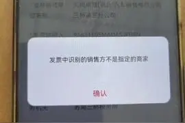 大风记者帮|买了新能源汽车却无法申领补贴 咋回事图片