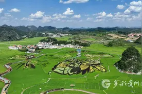 【高清组图】贵州平坝：稻田如画图片