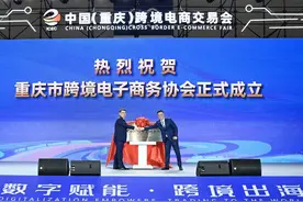 中国卖家如何顺利开展跨国电商？听听行业大咖的“干货”分享图片
