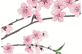 二十四节气二十四问图片