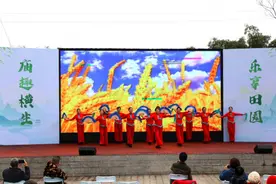 庙趣横生·乐享田园 ——南溪区刘家镇大庙村乡村示范片 游园活动成功举行图片