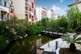 泼绿 绘城——荆州市巩固国家园林城市创建成果纪略图片
