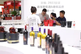 421家展商齐聚银川！贺兰山东麓国际葡萄酒交易会展览面积超国内同类展会图片