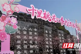 “十里桃花，香约江永”江永县第二届桃花节盛大开启图片
