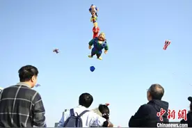 安徽合肥：万物“筝”春斗艳图片