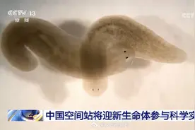又一种生命体将来到中国空间站！图片