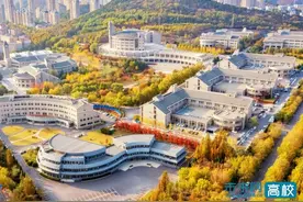 大连东软信息学院获批“辽宁省高校国际化水平评估试点学校”图片