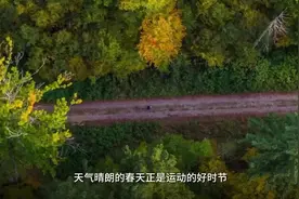 跑步的姿势嘛……帅不帅不要紧，对不对才是硬道理！图片