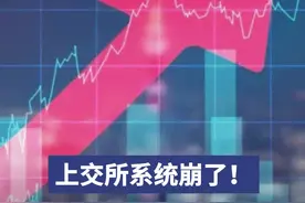 上交所系统崩了！是被股民买崩了吗？图片