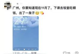 11月直逼30℃？立冬了，南方的“小土豆”别热中暑了图片