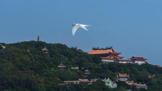 闽人智慧丨潮起东南、向海而歌，跨越海峡的三种方式