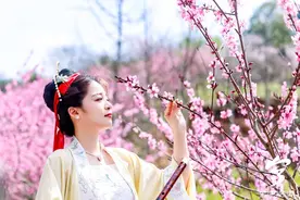 春日赏花正当时：桃花朵朵开，去这些地方遇见“世外桃源”图片