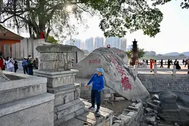 福建泉州：古桥红树共潮生图片