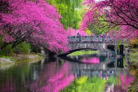 钱报朋友圈·福利｜晒#春日花路#，赢取哈啰出行单车年卡图片
