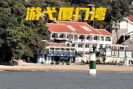 “海上大熊猫”背后的倾力守护图片