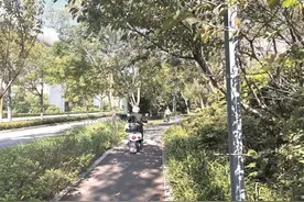 绿道频现“不速之客” 谁来为安全“把关”？图片
