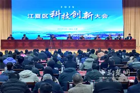 江夏区科技创新大会举行 真金白银砸创新图片